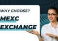 What Is MEXC? The Ultimate “Gem Hunter” Exchange Review (2025)