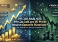 Macro Analysis: Why Do Gold and Oil Prices Move in Opposite Directions?